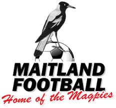 माइटलैंड एफसी महिलाएं