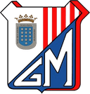 जिमनास्टिका मेडिनेंस