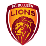 Singa Bulleen FC