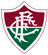 Fluminense RJ Youth