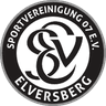 SV 07 Elversberg U17