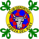 কাবেজা ডেল বুয়ে