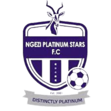 نجيزي بلاتينوم