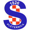 NK Slavija Pleternica