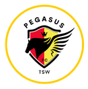 लिंग युई ओरियन एफसी