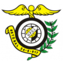 صناعة التجارة