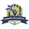 Marumo Gallants FC