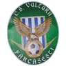 CS Vulturii Farcasesti
