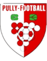 পুলি ফুটবল