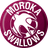 Moroka Swallows FC