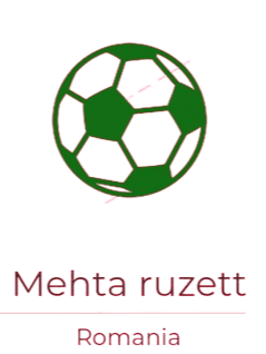Mehta ruzett