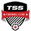 টিএসএস