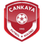 Cankaya FK