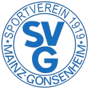 गोंसेनहाइम यू17