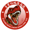 ज़िगोंग टीम