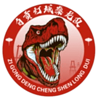 ज़िगोंग टीम